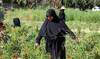 Nearly a year after truce, women in south Lebanon say war never ended