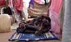 No one could stop it: Sudanese describe mass rapes while fleeing El-Fasher
